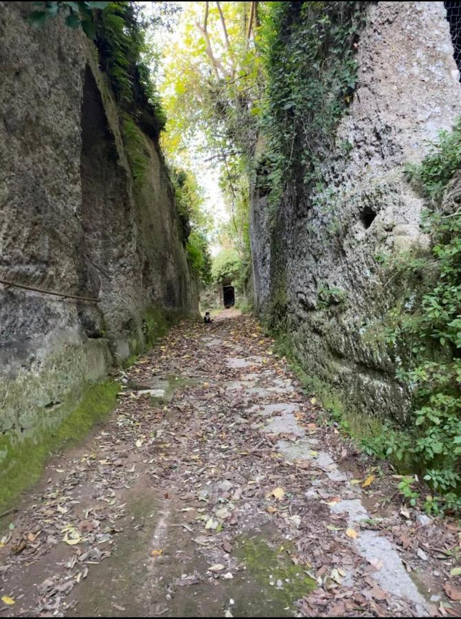 Affittacamere Licenza N.1 Presso La Magica Torre Pitigliano Eksteriør bilde